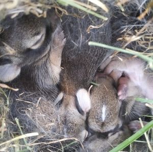 Meet your Posher, Alexia